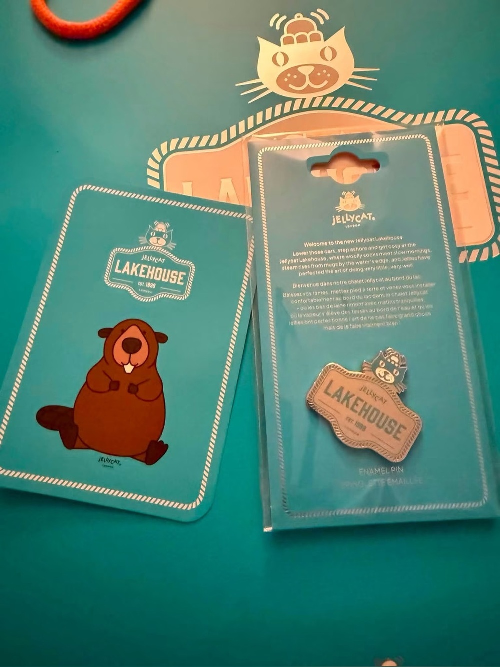 Jelly cat lake house pin